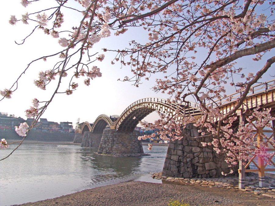 岩国錦帯橋の桜とそうづ峡温泉<br />
　錦川鉄道＆とことこトレイン乗車